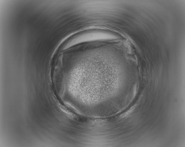 X0000075920830200609291822