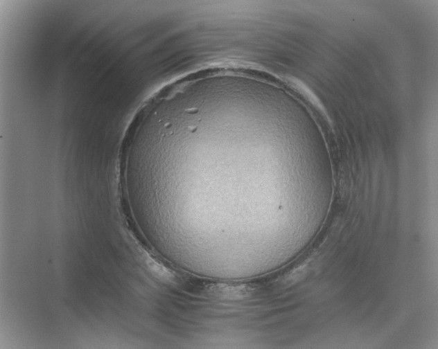 X0000075920831200609291822