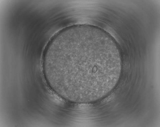 X0000075920832200609291822