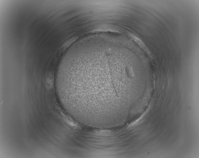 X0000075920833200609291822