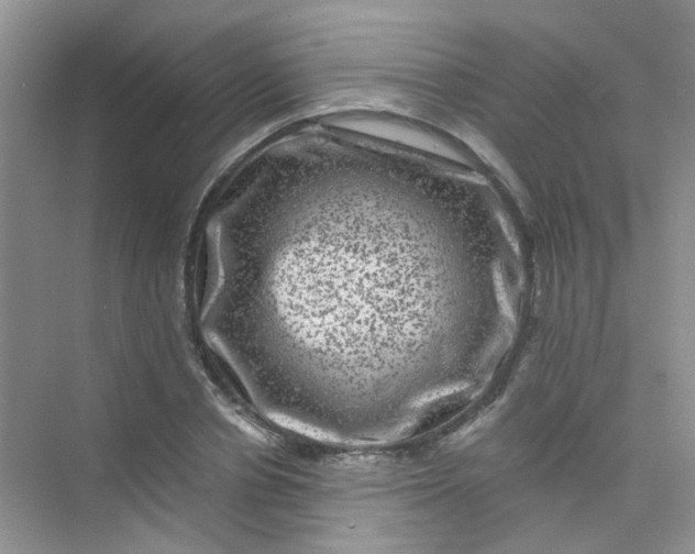 X0000075920834200609291822