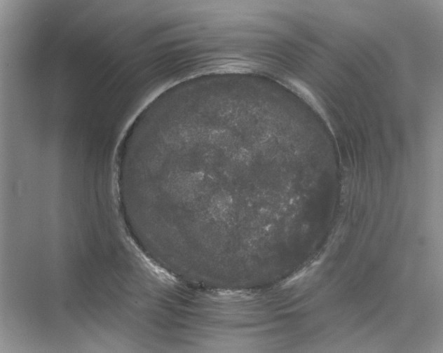 X0000075920835200609291822