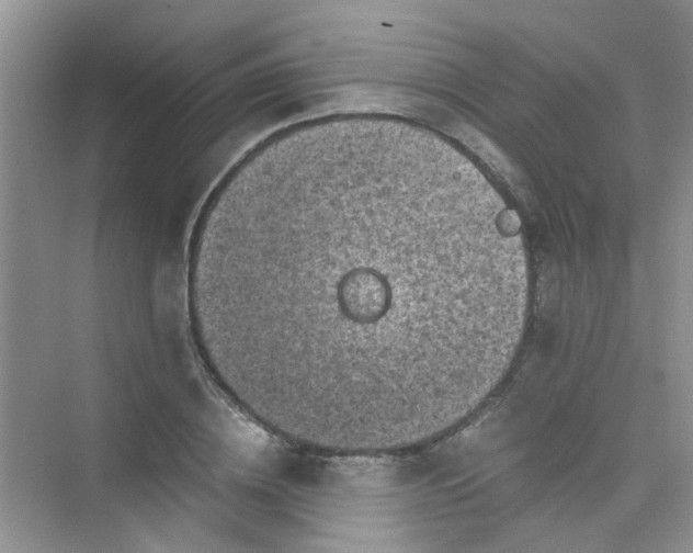 X0000075920836200609291822