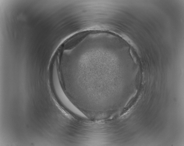 X0000075920838200609291822