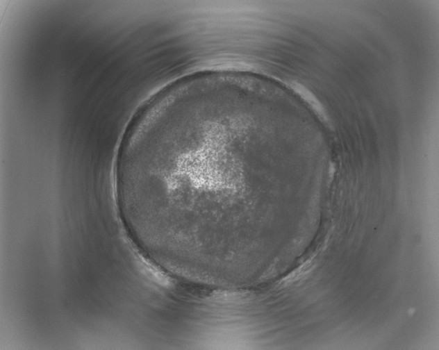 X0000075920840200609291822