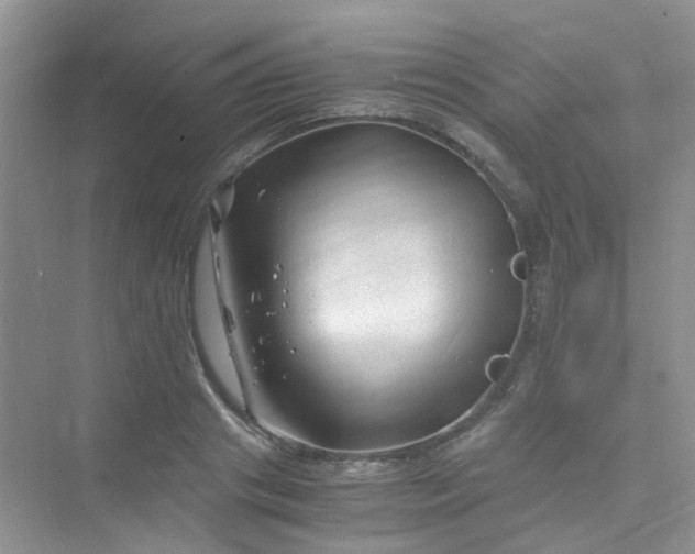 X0000075920841200609291822