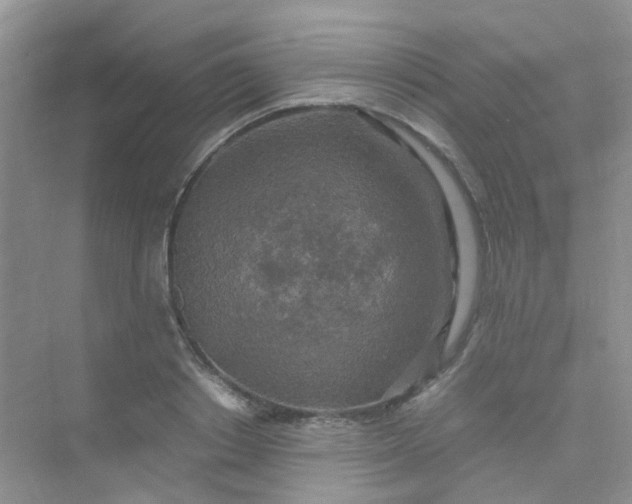 X0000075920842200609291822