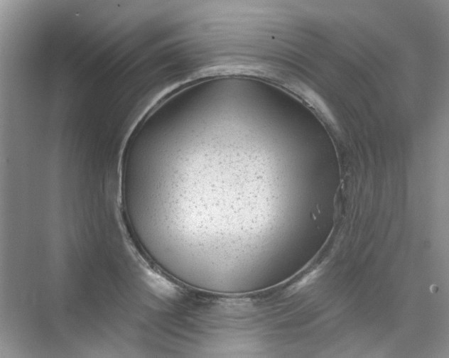 X0000075920844200609291822