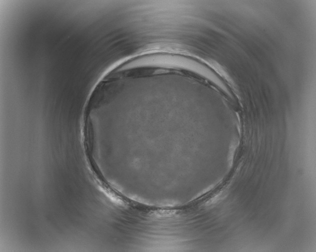 X0000075920846200609291822