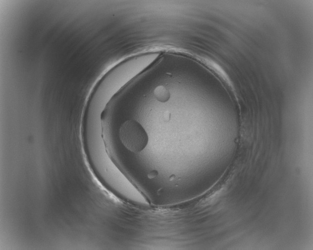 X0000075920847200609291822