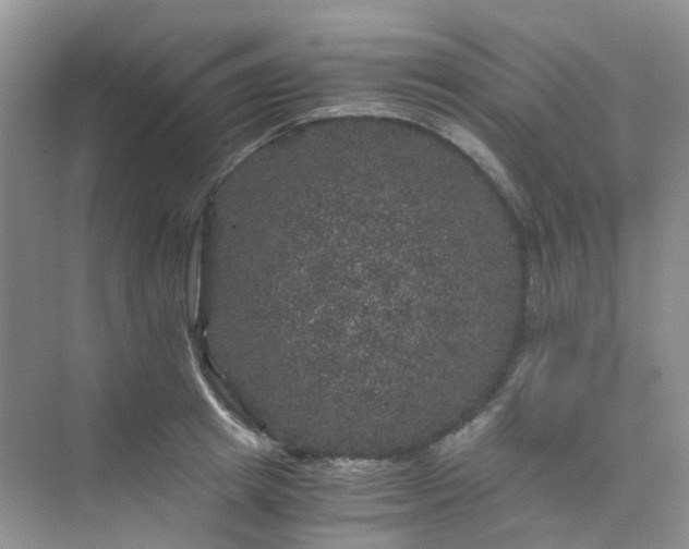 X0000075920849200609291822