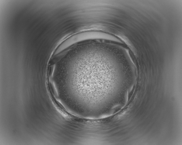 X0000075920850200609291822