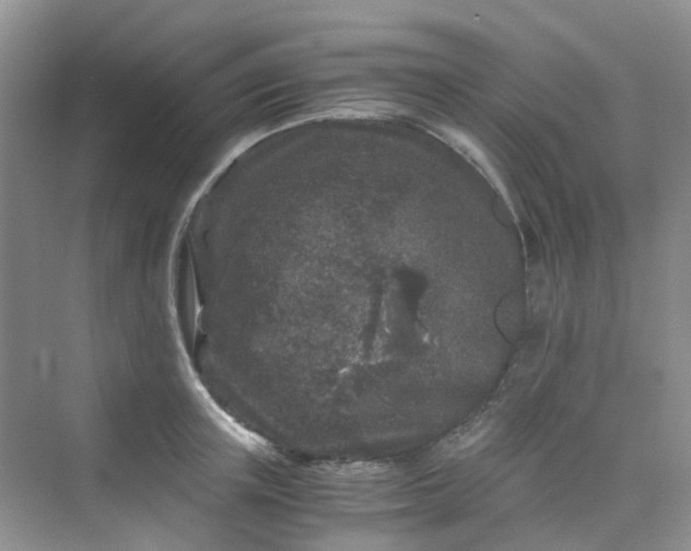 X0000075920851200609291822