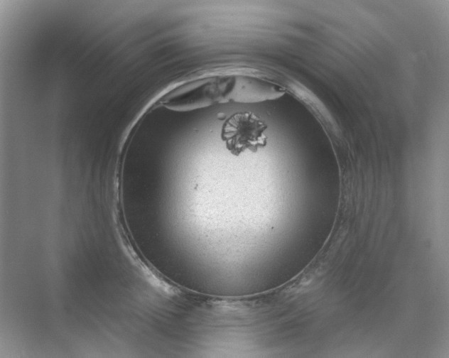 X0000075920852200609291822