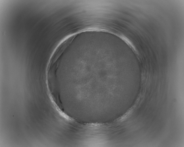 X0000075920854200609291822