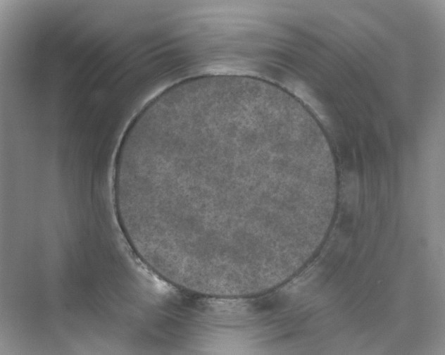 X0000075920856200609291822