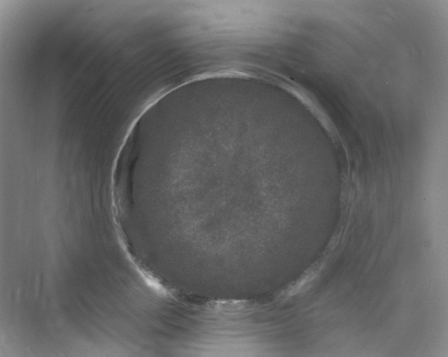 X0000075920858200609291823