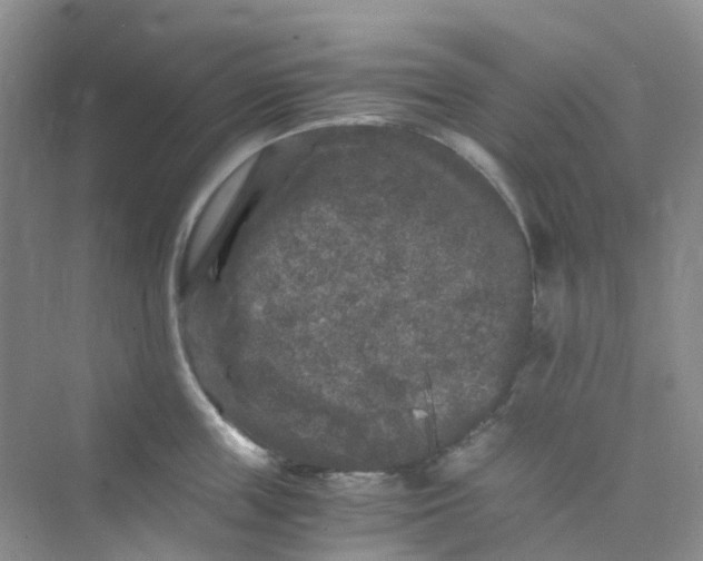 X0000075920859200609291823