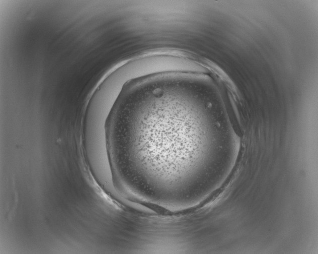 X0000075920860200609291823