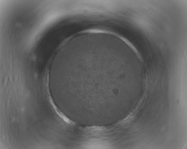 X0000075920862200609291823