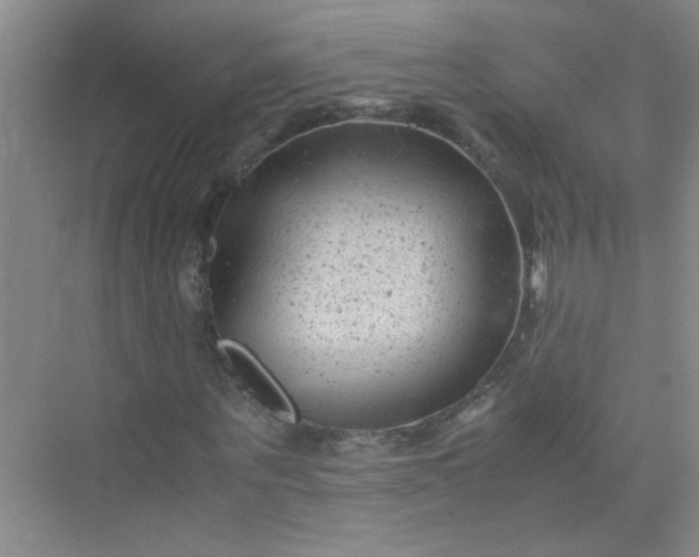 X0000075920867200609291822