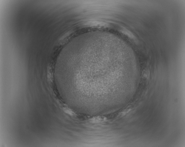 X0000075920869200609291822