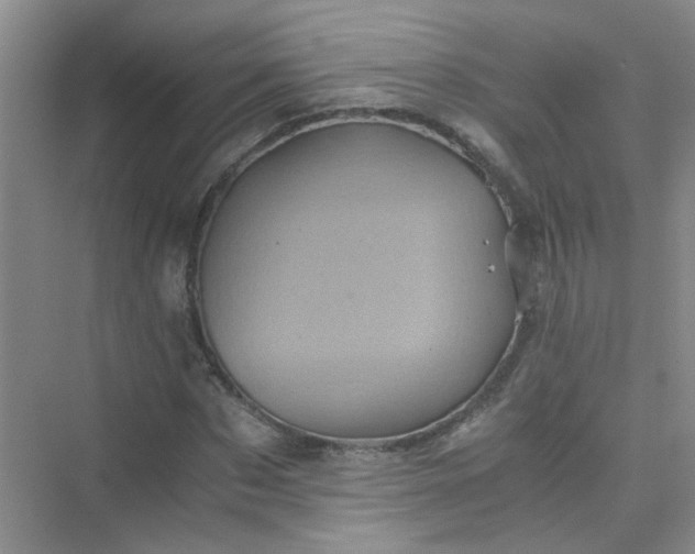 X0000075920873200609291822