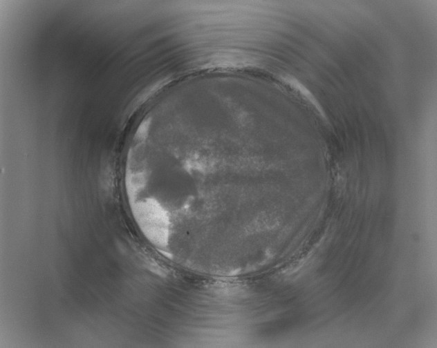 X0000075920874200609291822