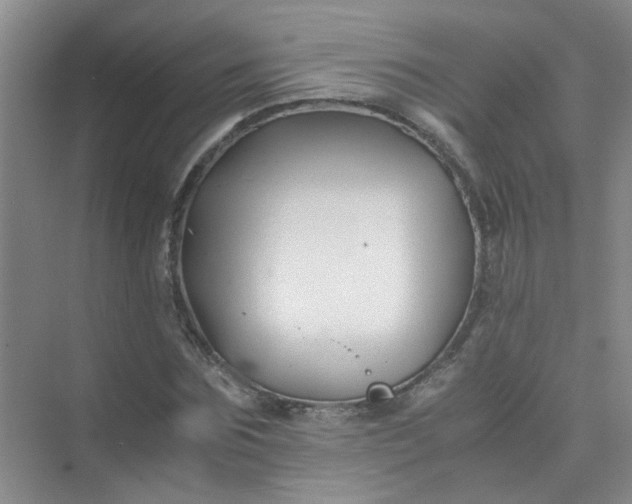 X0000075920875200609291822