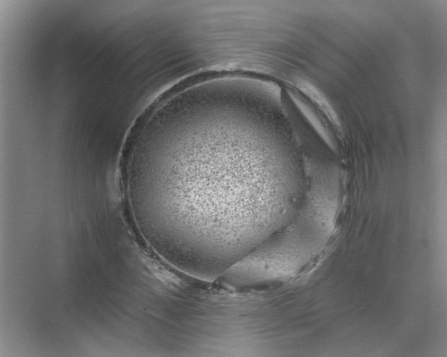 X0000075920876200609291822