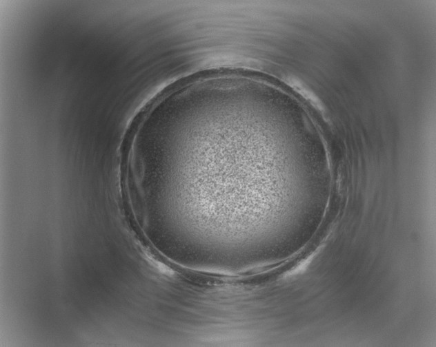 X0000075920877200609291822