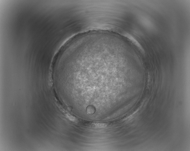 X0000075920878200609291822