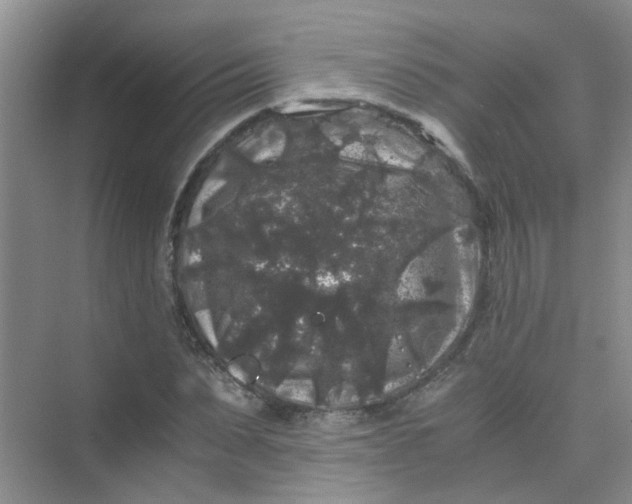 X0000075920879200609291822