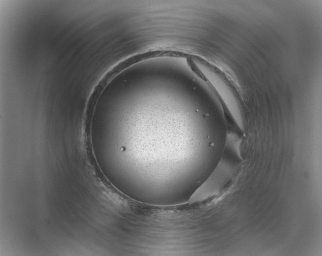 X0000075920880200609291822