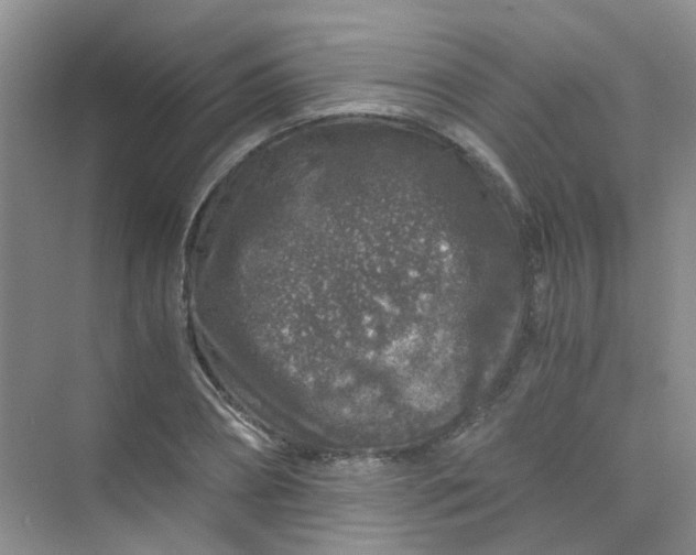 X0000075920882200609291821