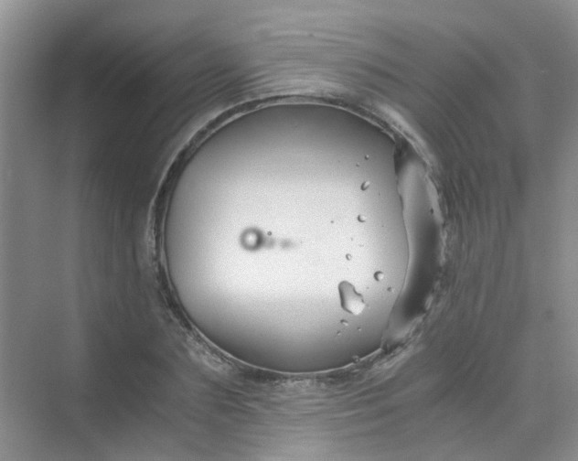 X0000075920883200609291821