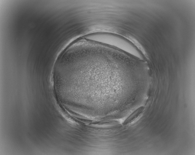 X0000075920885200609291821