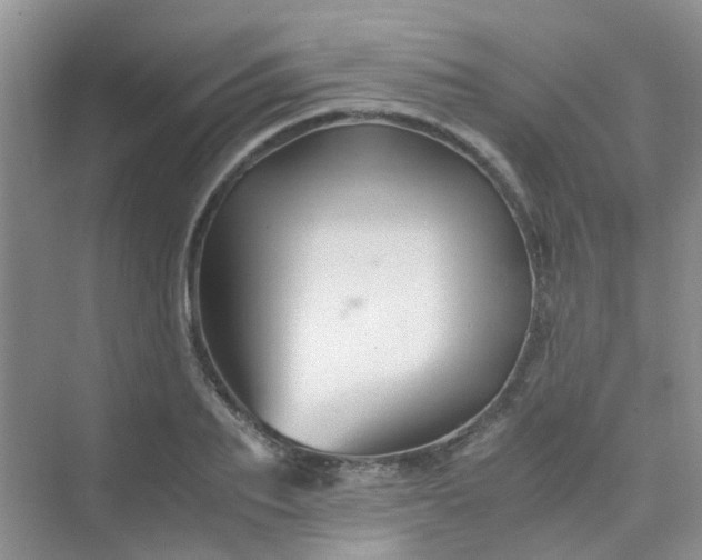 X0000075920887200609291821