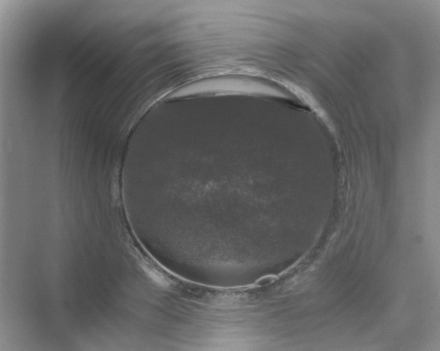 X0000075920889200609291821