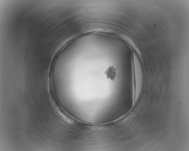 X0000075920890200609291821