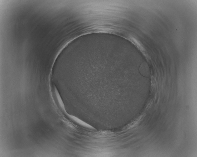 X0000075920891200609291821