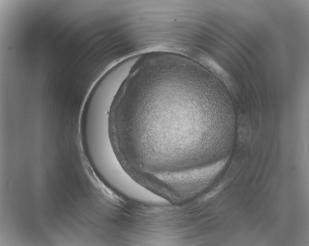 X0000075920892200609291821