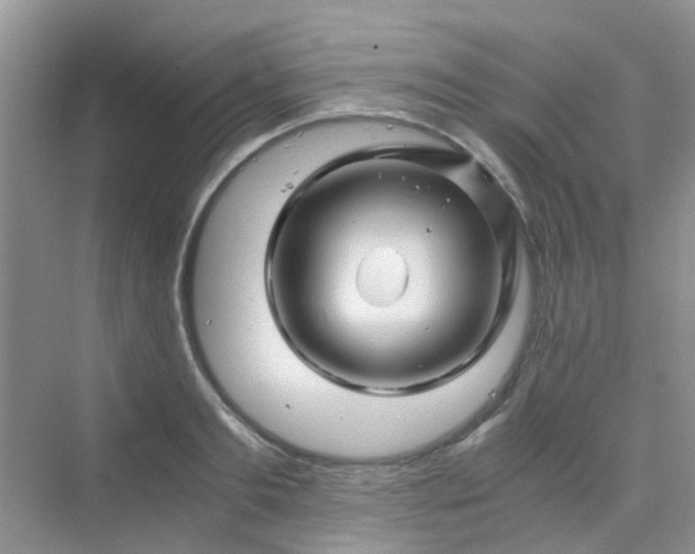 X0000075920893200609291821