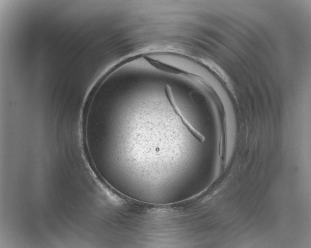 X0000075920894200609291821