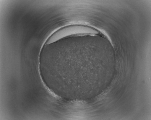 X0000075920895200609291821