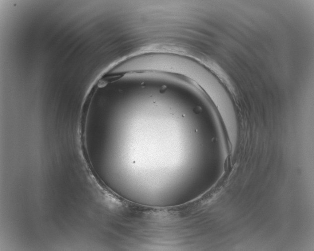 X0000075920896200609291821