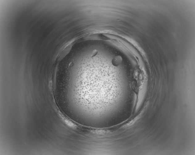 X0000075920897200609291821