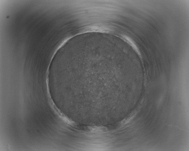 X0000075920899200609291821