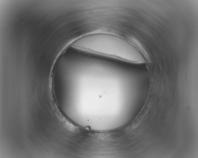 X0000075920900200609291821