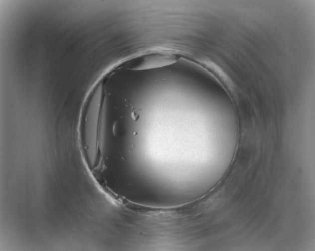 X0000075920902200609291821